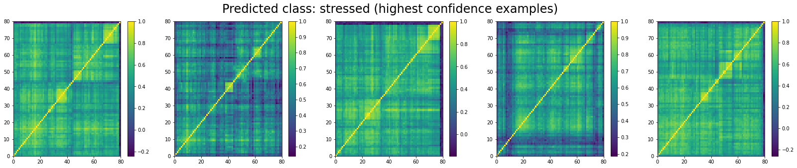 The top 5 'stressed' correlation matrices in the test set according to the model